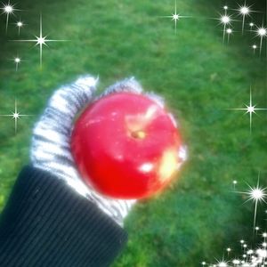 Meet your Posher, Kathy